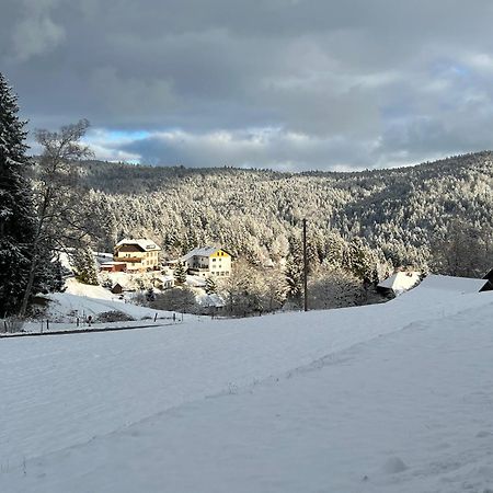 Boutique Hotel And Apartments Pension Sternen Todtmoos Exterior foto