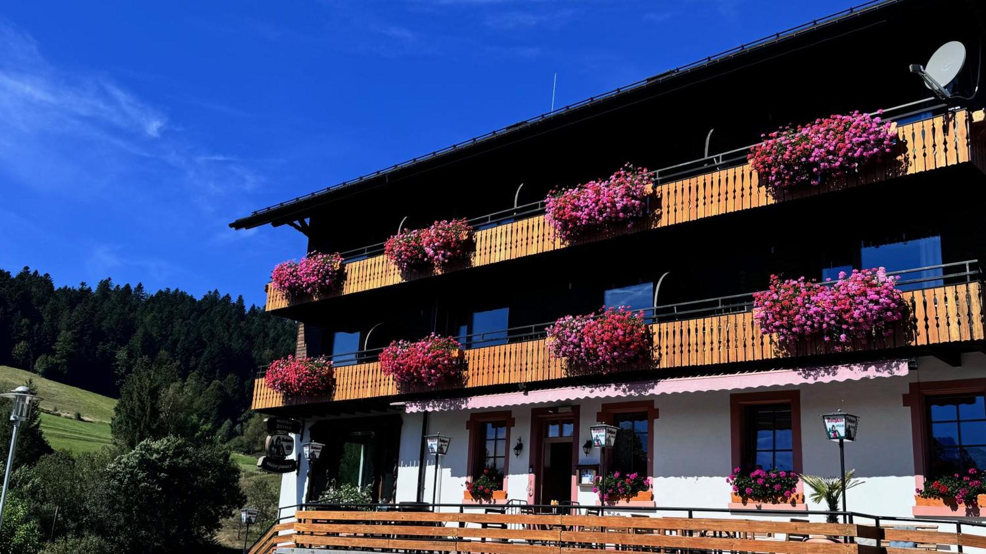 Boutique Hotel And Apartments Pension Sternen Todtmoos Exterior foto